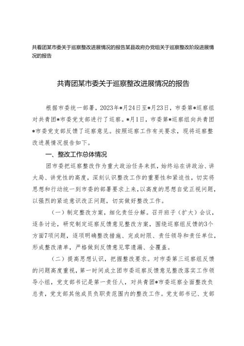 2篇 共青团某市委关于巡察整改进展情况的报告.docx