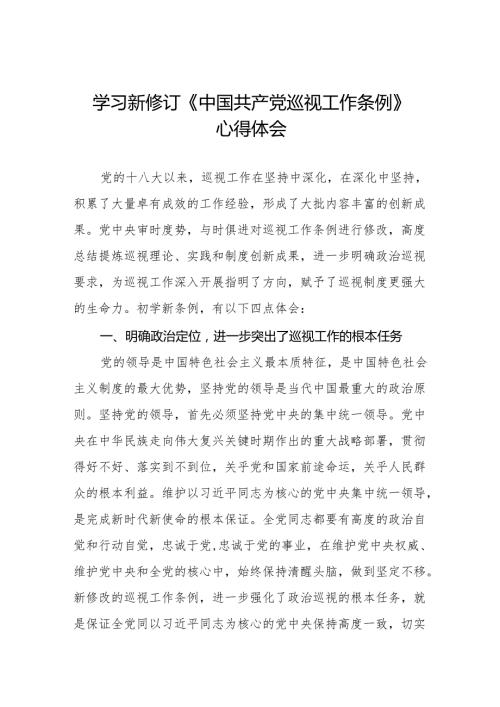 街道干部学习贯彻2024新修订《中国共产党巡视工作条例》心得体会四篇.docx