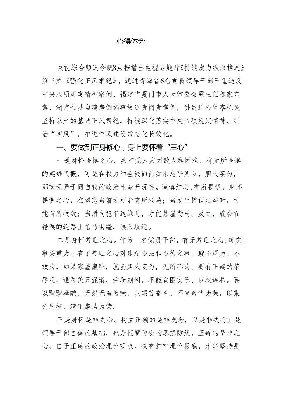 《持续发力纵深推进》心得体会观后感6篇供参考.docx_第2页