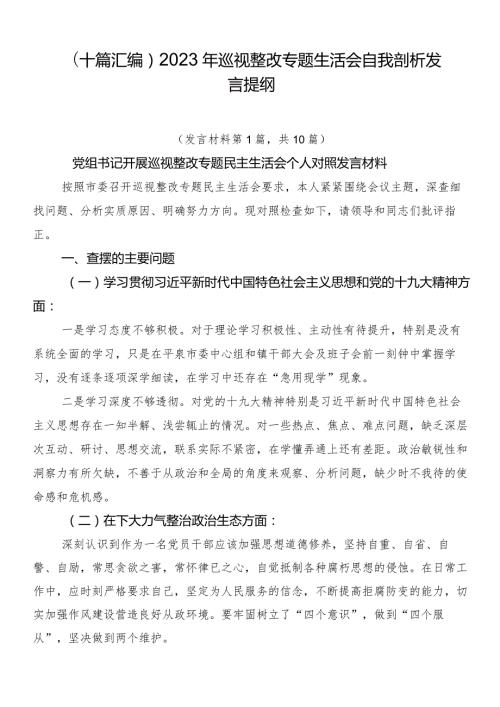 （十篇汇编）2023年巡视整改专题生活会自我剖析发言提纲.docx