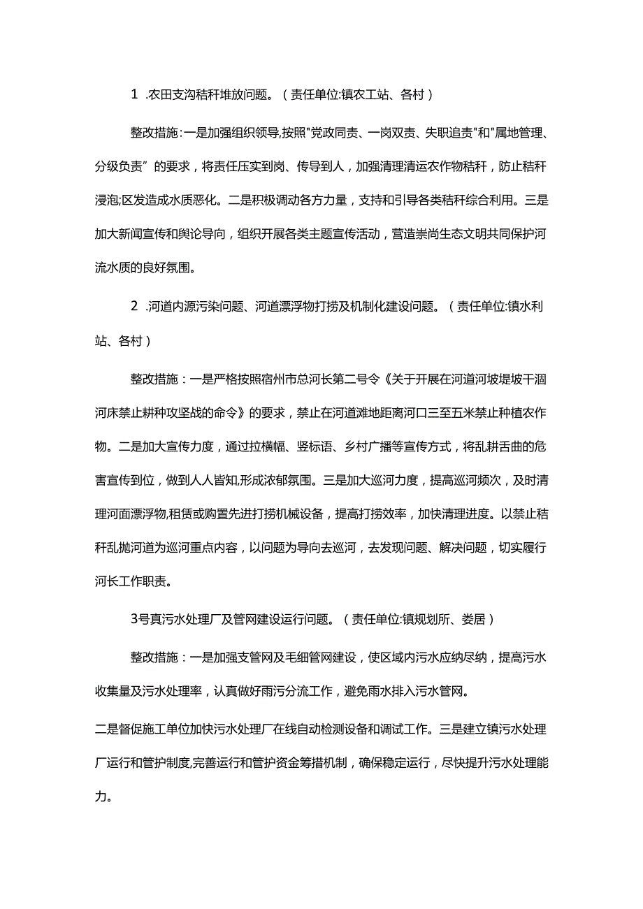 镇水环境问题专项整治实施方案.docx_第2页