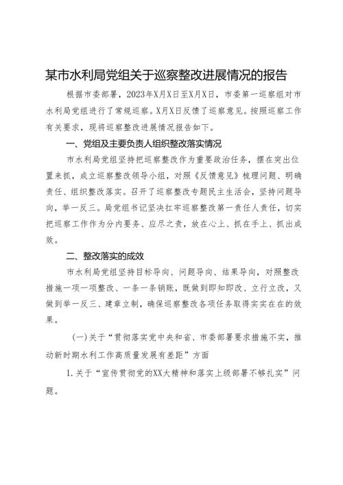 某市水利局党组关于巡察整改进展情况的报告.docx