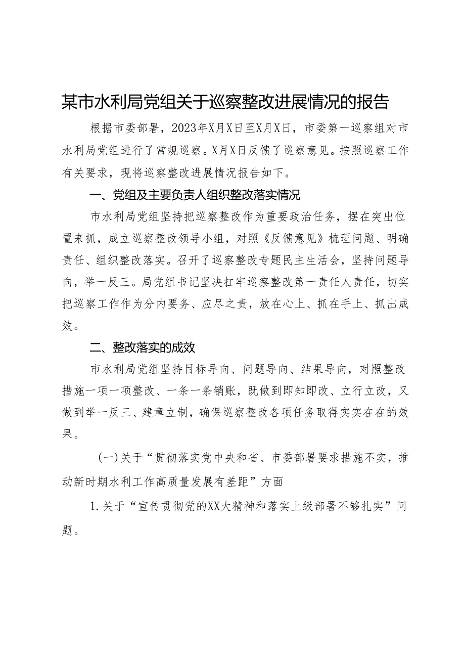某市水利局党组关于巡察整改进展情况的报告.docx_第1页