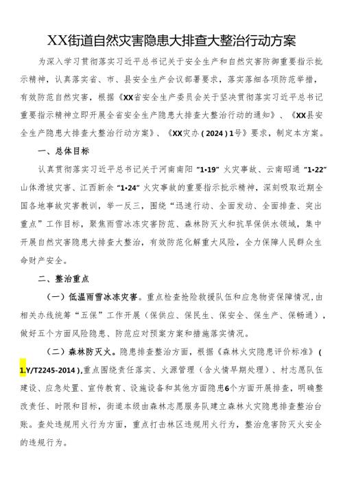 街道自然灾害隐患大排查大整治行动方案.docx