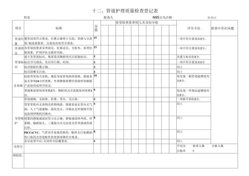 表12管道护理质量检查登记表文档(2).docx