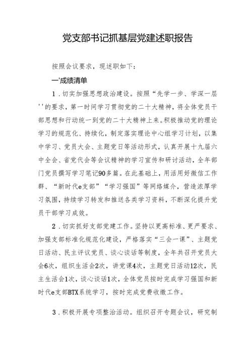 党支部书记抓基层党建述职报告.docx