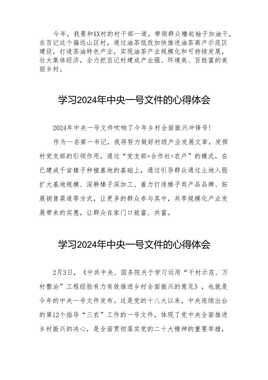 驻村书记学习2024年中央一号文件的心得体会23篇.docx_第3页