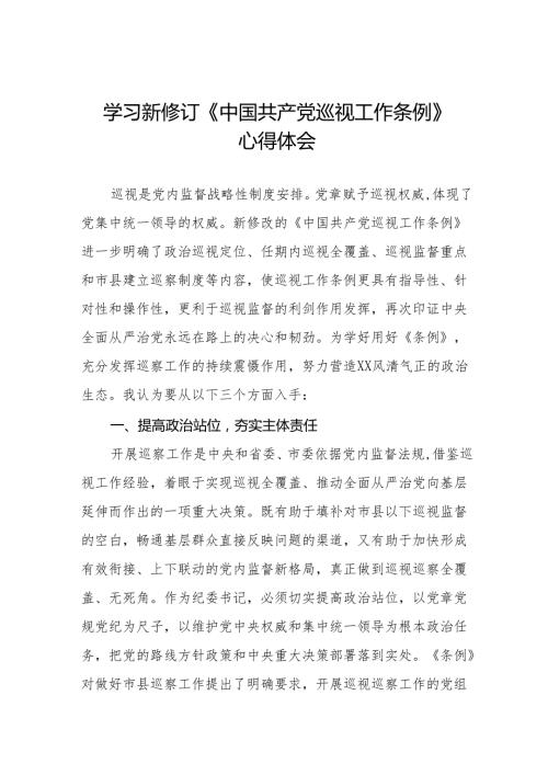 纪检干部学习2024年新修订《中国共产党巡视工作条例》心得体会四篇.docx
