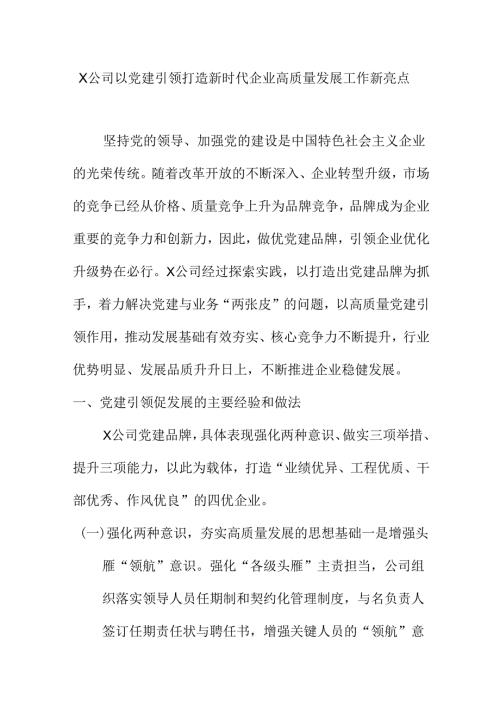 X公司以党建引领打造新时代企业高质量发展工作新亮点.docx
