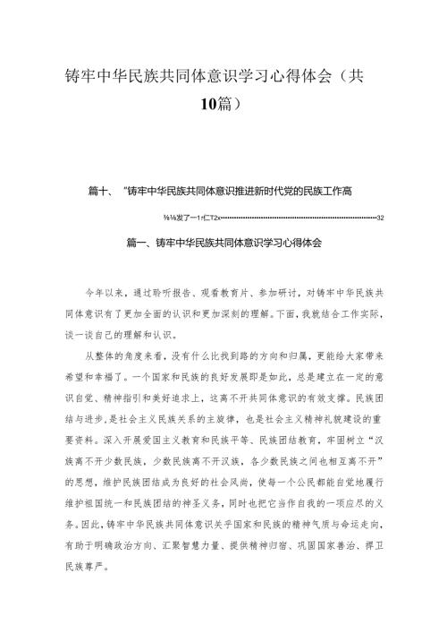 铸牢中华民族共同体意识学习心得体会【10篇精选】供参考.docx