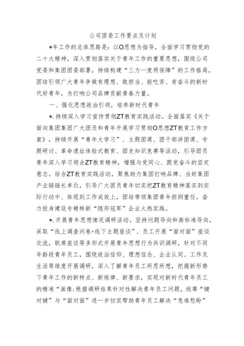 公司团委工作要点及计划.docx