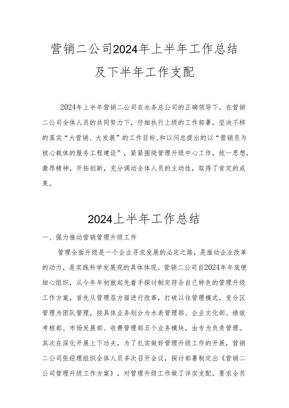 营销二公司2024年上半年工作总结及下半年工作计划.docx_第1页