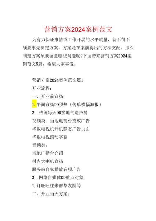 营销方案2024案例范文.docx