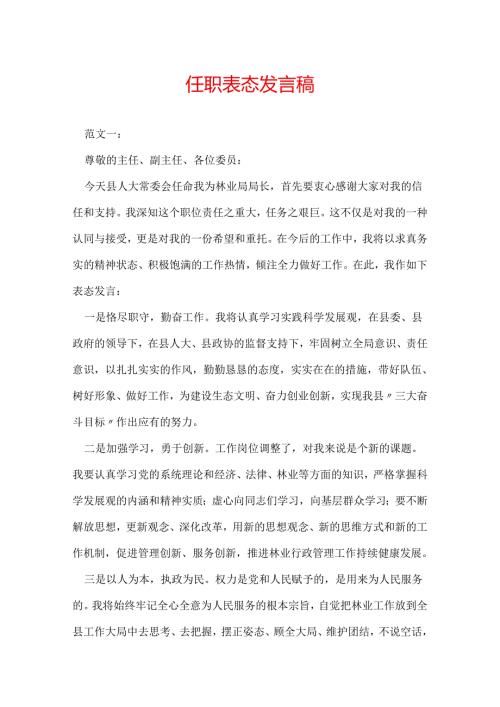 任职表态发言稿.docx
