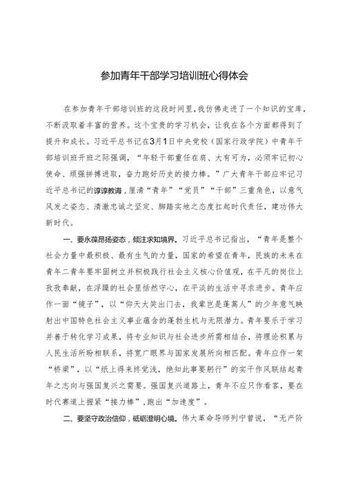 2024年参加青年干部学习培训班心得体会.docx