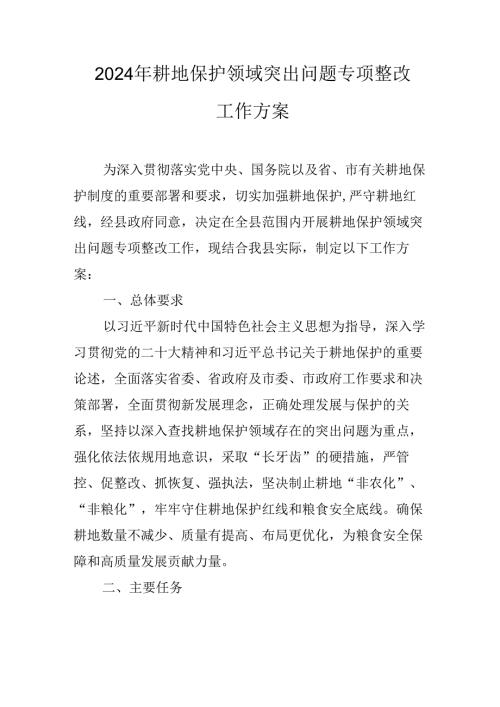 2024年耕地保护领域突出问题专项整改工作方案.docx