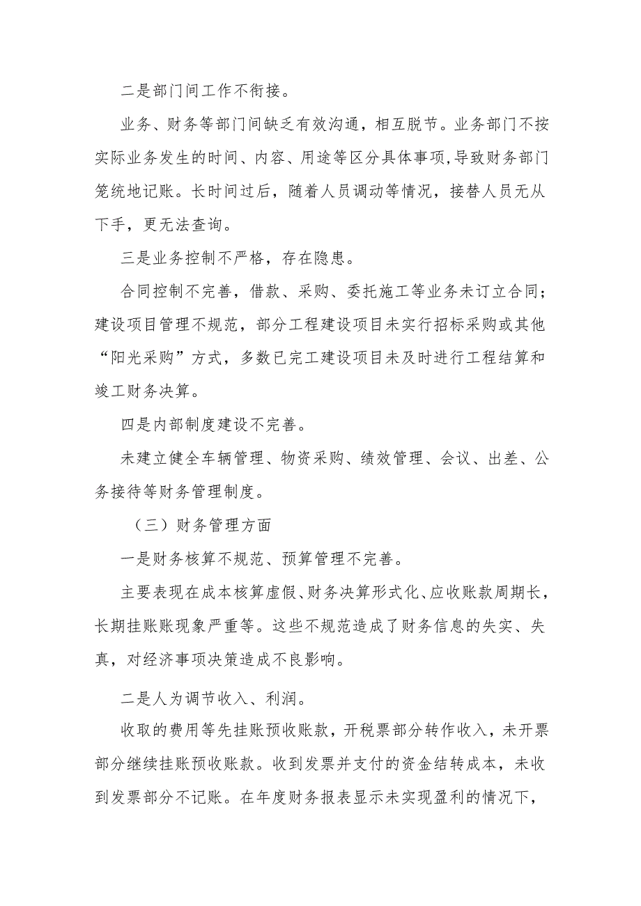 国有企业审计.docx_第2页