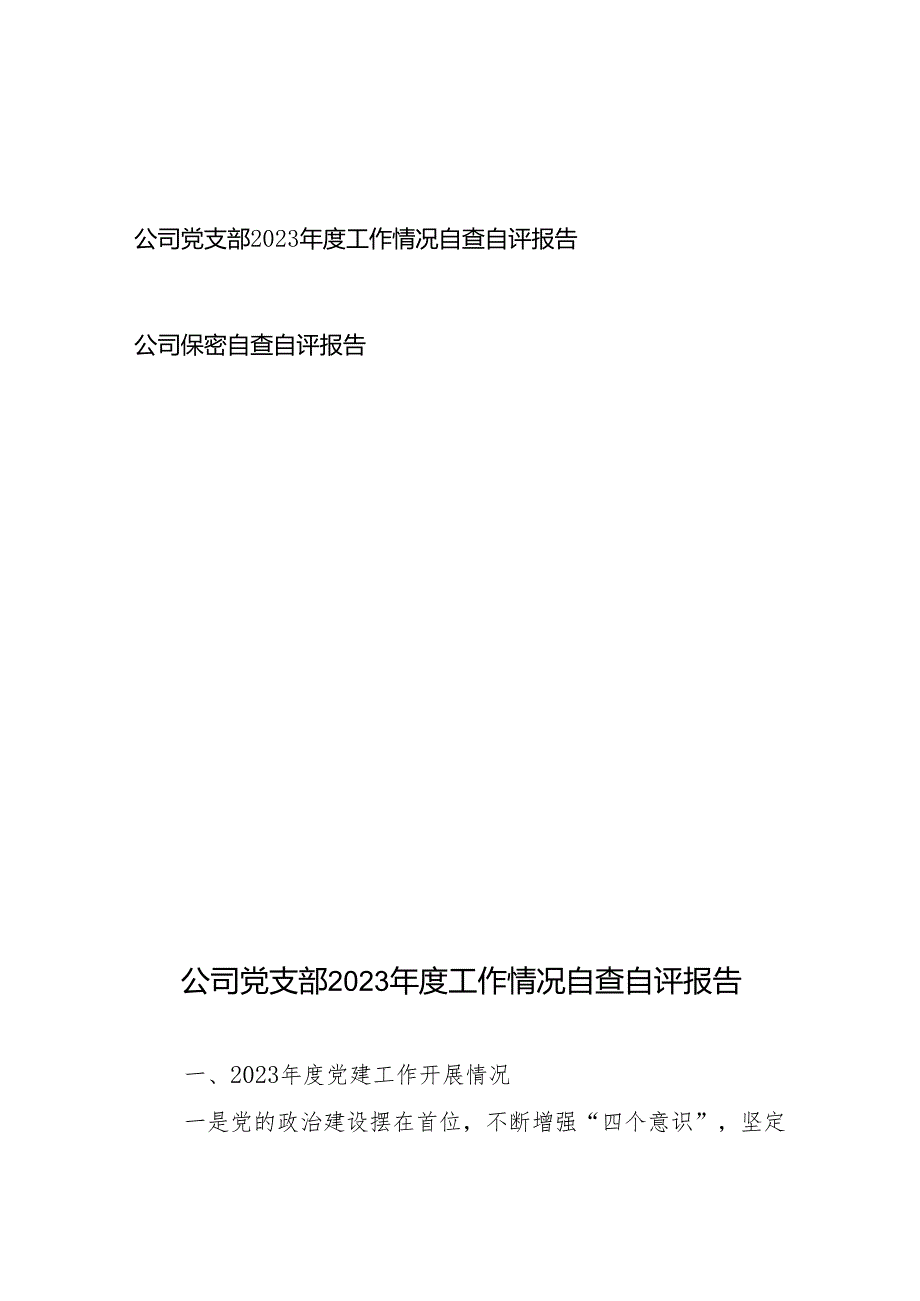 公司党支部2023工作情况自查自评报告+公司保密自查自评报告.docx_第1页