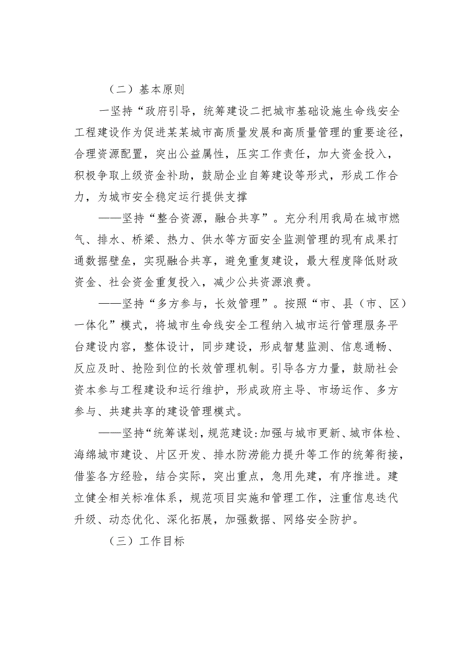 某某市城市管理城市生命线工程专项行动实施方案.docx_第2页