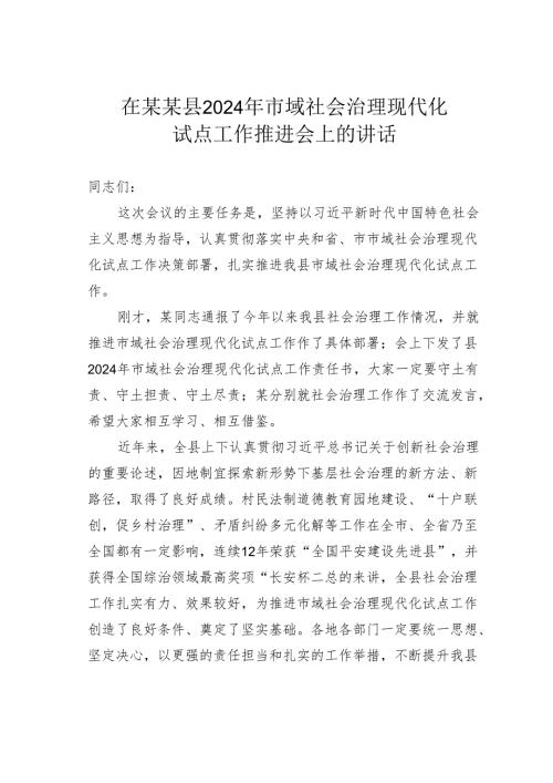 在某某县2024年市域社会治理现代化试点工作推进会上的讲话.docx