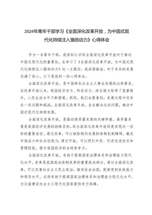 5篇 2024年青年干部学习《全面深化改革开放为中国式现代化持续注入强劲动力》心得体会.docx