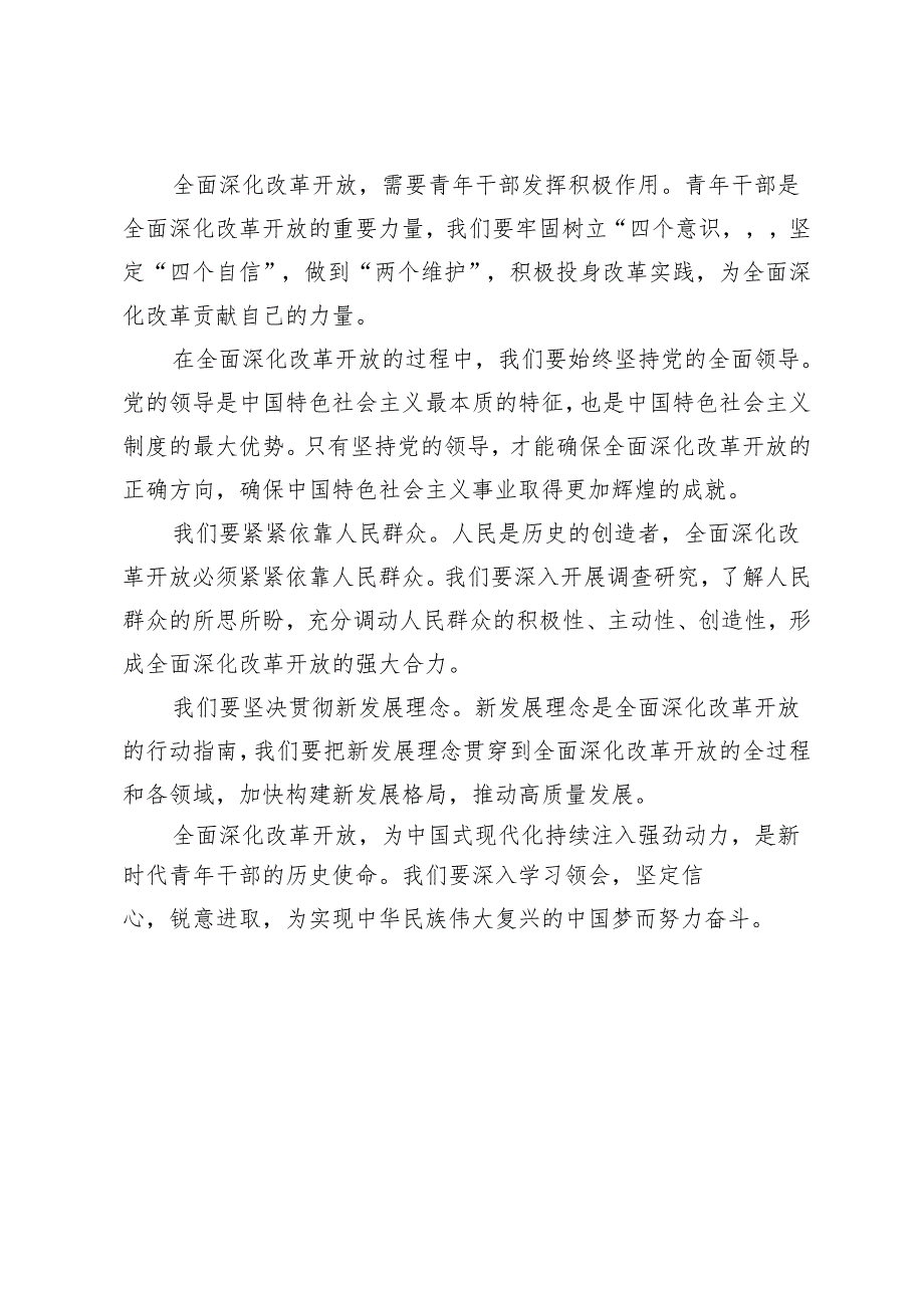5篇 2024年青年干部学习《全面深化改革开放为中国式现代化持续注入强劲动力》心得体会.docx_第2页