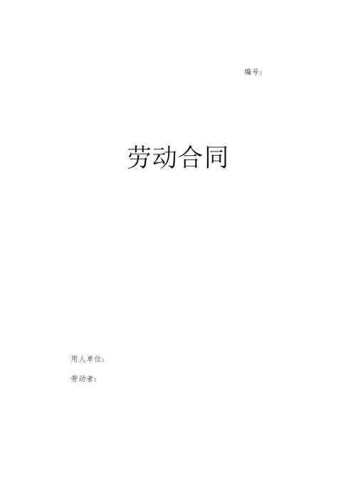 劳动合同及补充条款.docx