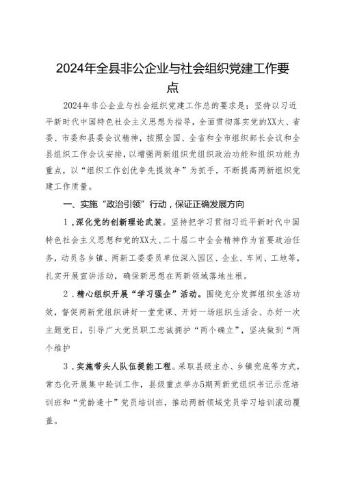 2024年全县非公企业与社会组织党建工作要点.docx