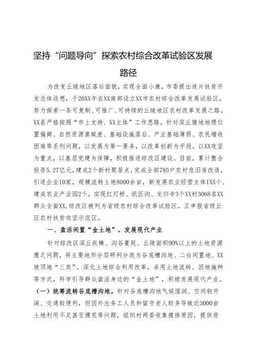 工作汇报：坚持“问题导向” 探索农村综合改革试验区发展路径.docx