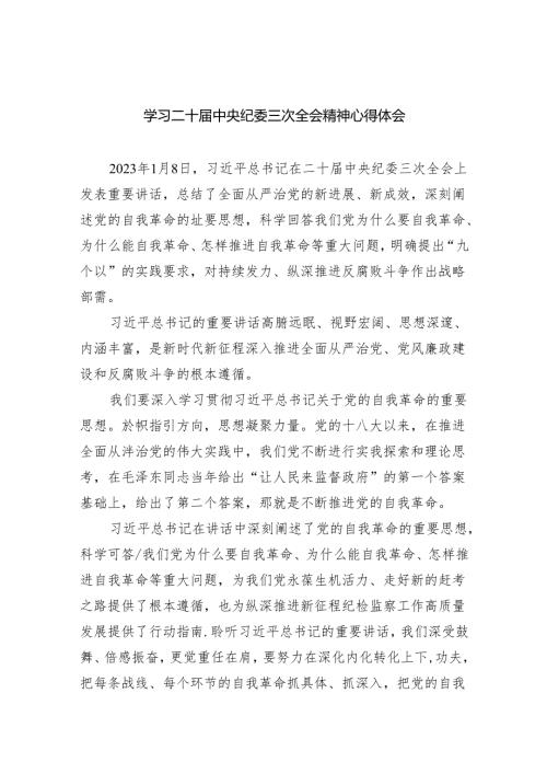 学习二十中央纪委三次全会精神心得体会5篇供参考.docx