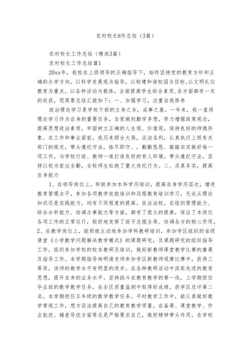 农村校长工作总结（3篇）.docx