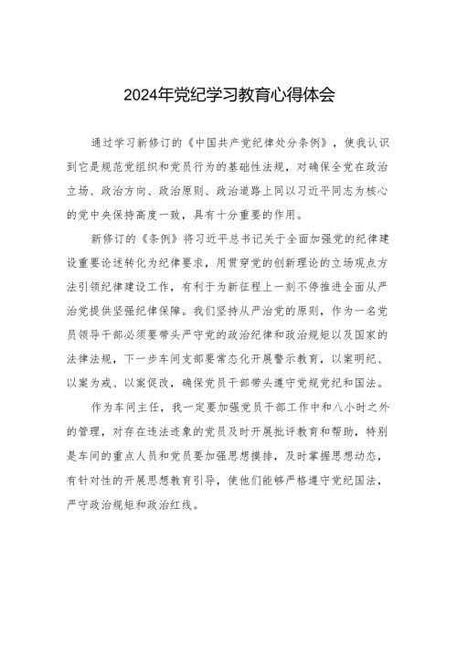 2024年党纪学习教育关于学习新修订版中国共产党纪律处分条例的心得体会发言材料十五篇.docx