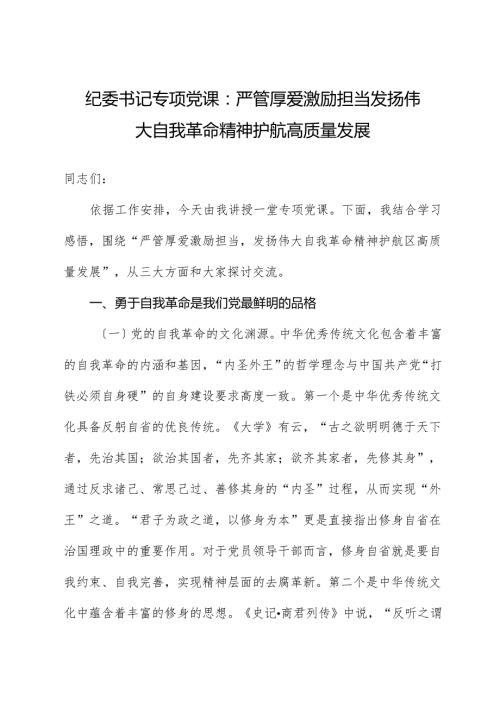 纪委书记专题党课：严管厚爱激励担当发扬伟大自我革命精神护航高质量发展.docx