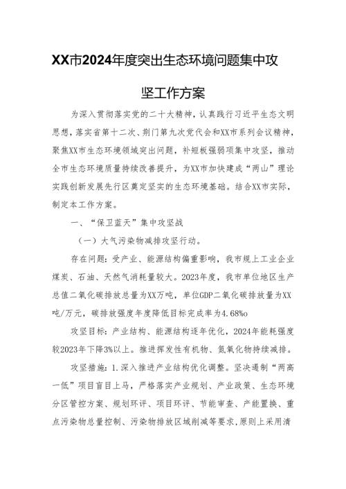 XX市2024突出生态环境问题集中攻坚工作方案.docx