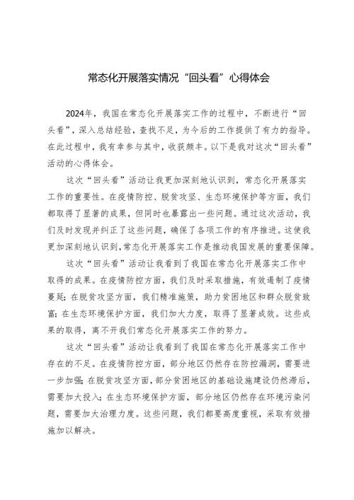 4篇 2024年常态化开展落实情况“回头看”心得体会.docx