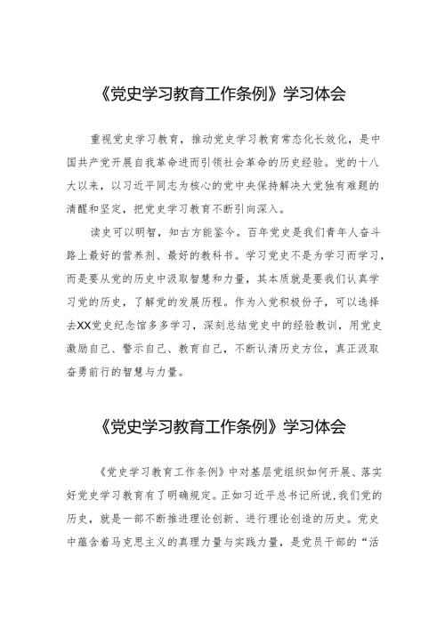 支部学习《党史学习教育工作条例》心得体会五篇.docx