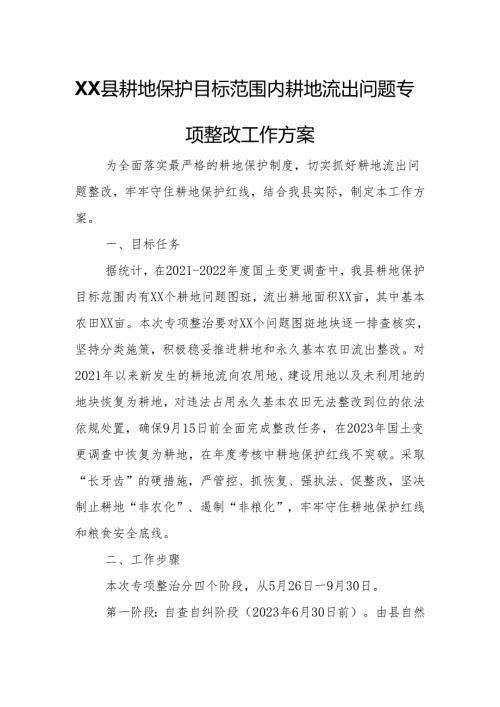 XX县耕地保护目标范围内耕地流出问题专项整改工作方案.docx