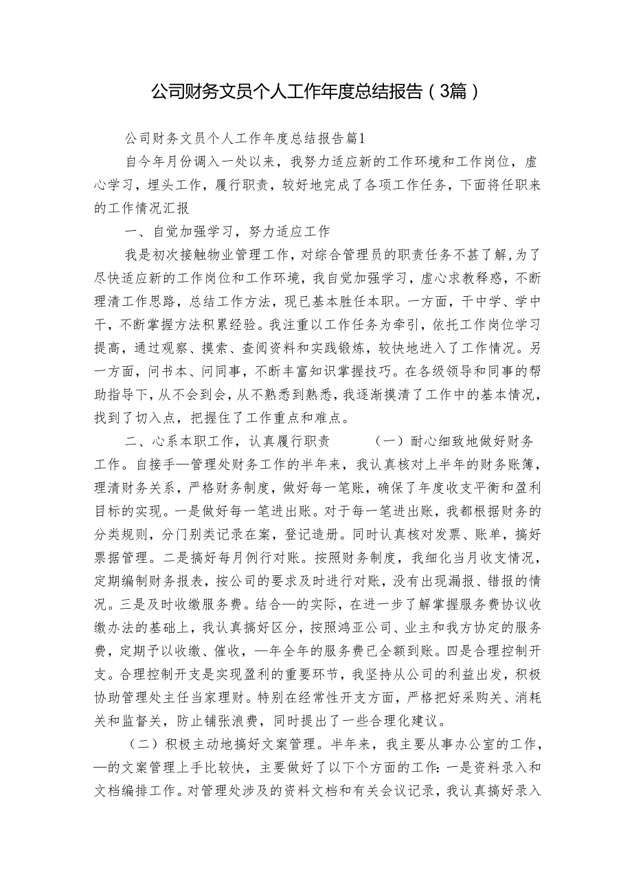 公司财务文员个人工作总结报告（3篇）.docx_第1页