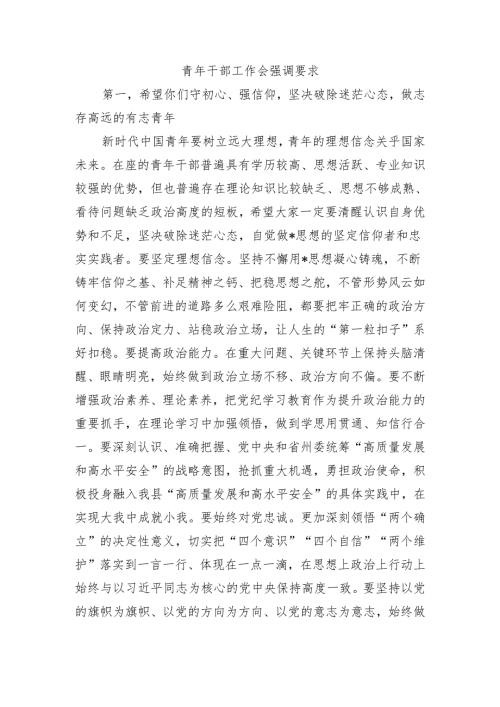 青年干部工作会强调要求.docx