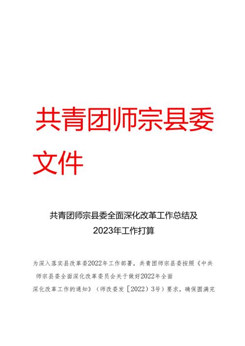 共青团师宗县委全面深化改革工作总结及2023年工作打算.docx