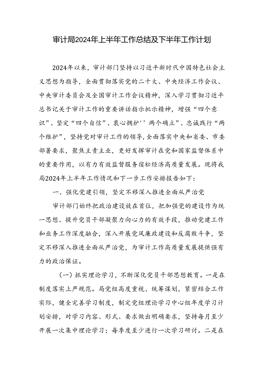 2024年上半年审计局工作总结及下半年工作计划.docx_第1页