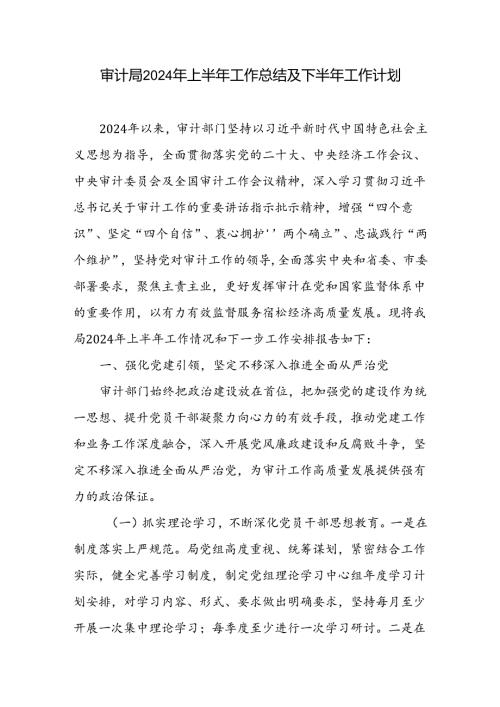 2024年上半年审计局工作总结及下半年工作计划.docx