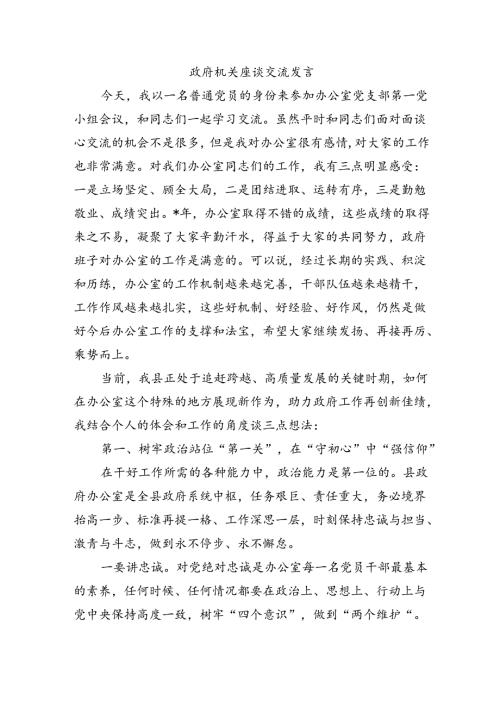 政府机关座谈交流发言.docx