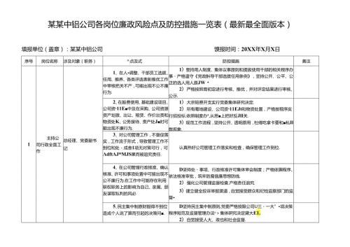 某某中铝公司各岗位廉政风险点及防控措施一览表（最新最全面版本）.docx