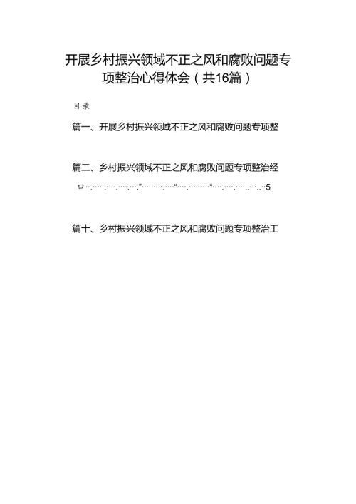 （16篇）开展乡村振兴领域不正之风和腐败问题专项整治心得体会（精选）.docx
