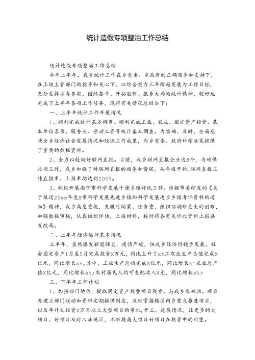 统计造假专项整治工作总结.docx