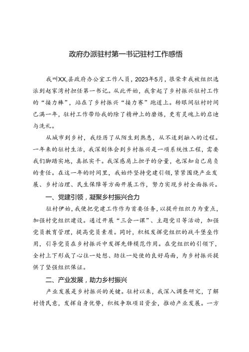 2024年政府办派驻村第一书记驻村工作感悟.docx