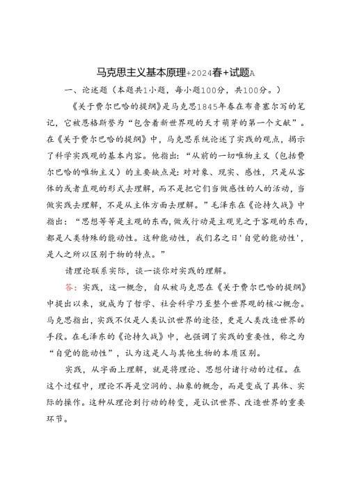 2024年期试卷请理论联系实际谈一谈你对实践的理解.docx