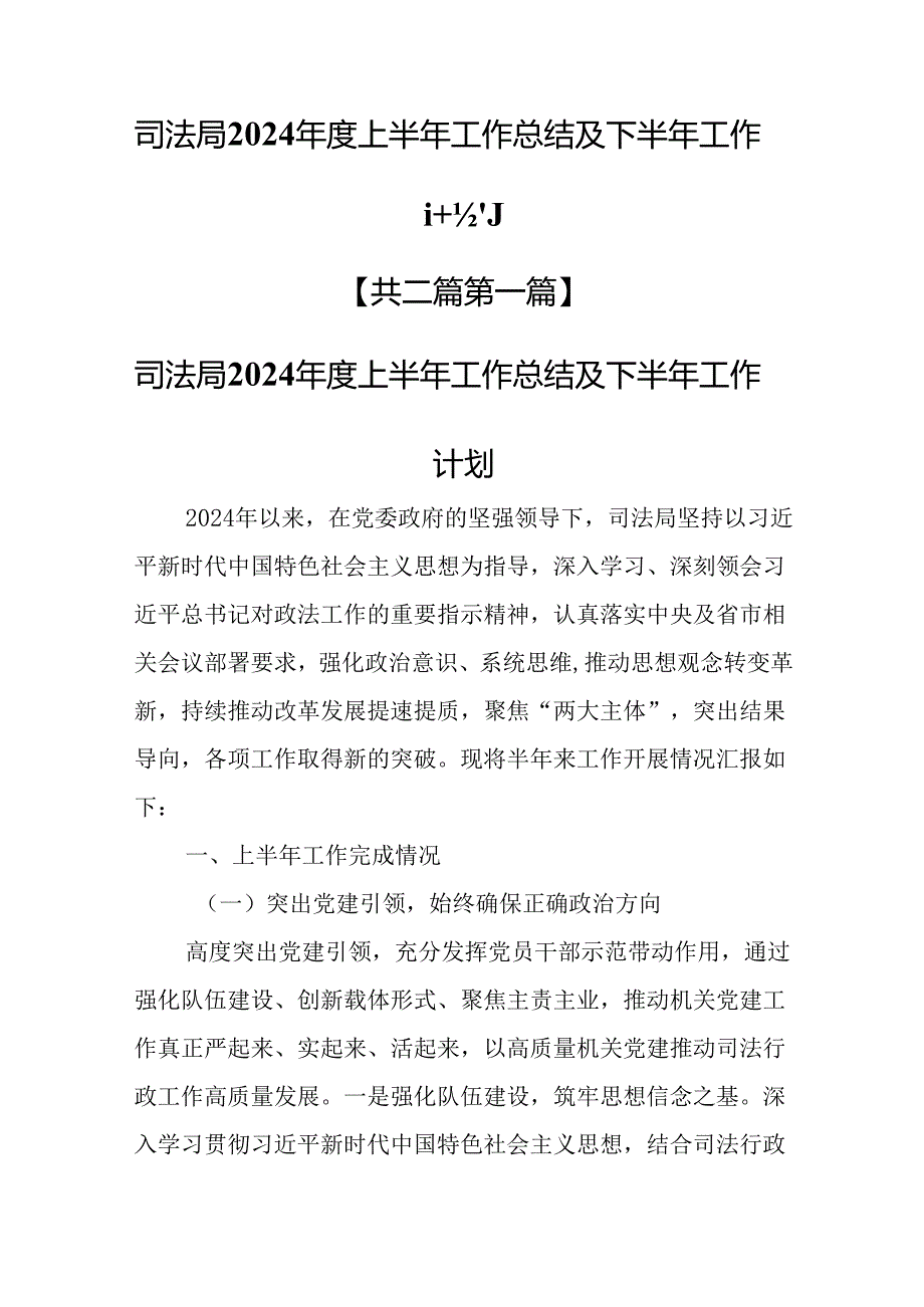 （2篇）司法局2024年上半年工作总结及下半年工作计划.docx_第1页