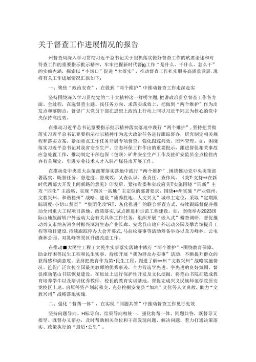 关于督查工作进展情况的报告.docx